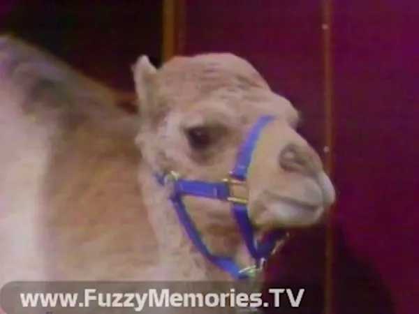 Still from “Stop 3: Ancient Egypt” — Doug Henning’s World of Magic IV