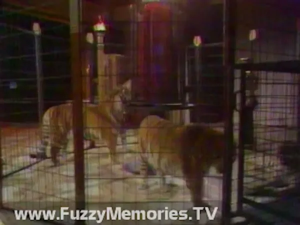 Still from “Egyptian final act” — Doug Henning’s World of Magic IV