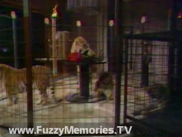 Still from “Egyptian final act” — Doug Henning’s World of Magic IV